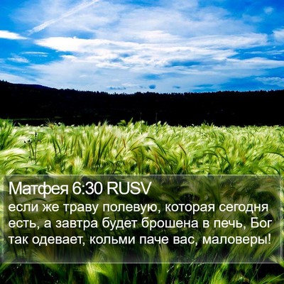 Матфея 6:30 RUSV Bible Verse Image