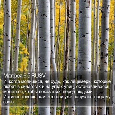 Матфея 6:5 RUSV Bible Verse Image