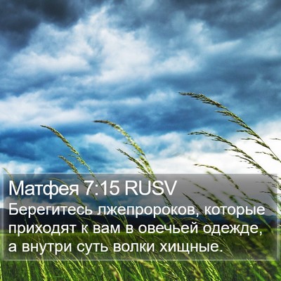 Матфея 7:15 RUSV Bible Verse Image