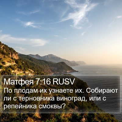 Матфея 7:16 RUSV Bible Verse Image