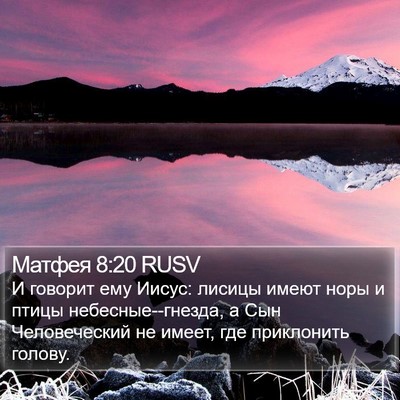 Матфея 8:20 RUSV Bible Verse Image