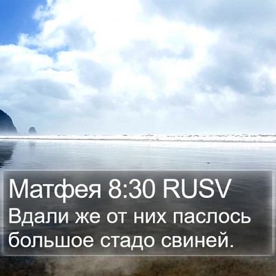 Матфея 8:30 RUSV Bible Verse Image