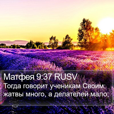 Матфея 9:37 RUSV Bible Verse Image
