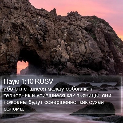 Наум 1:10 RUSV Bible Verse Image