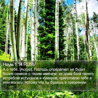 Наум 1:14 RUSV Bible Verse Image
