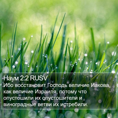 Наум 2:2 RUSV Bible Verse Image