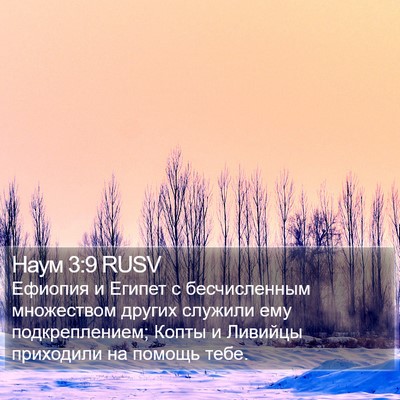 Наум 3:9 RUSV Bible Verse Image