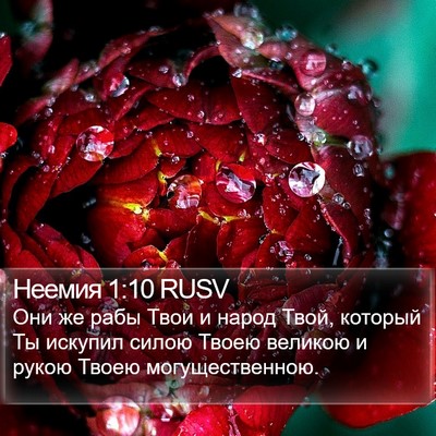 Неемия 1:10 RUSV Bible Verse Image