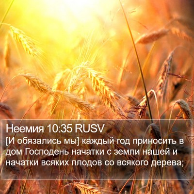 Неемия 10:35 RUSV Bible Verse Image