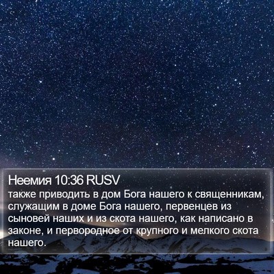 Неемия 10:36 RUSV Bible Verse Image