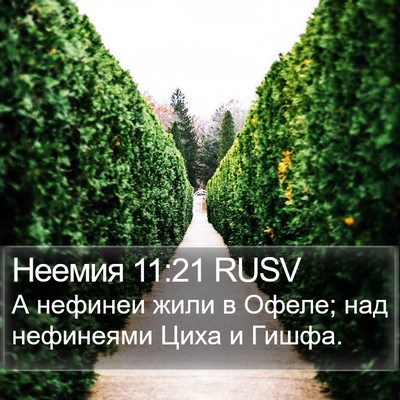 Неемия 11:21 RUSV Bible Verse Image