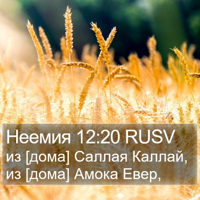 Неемия 12:20 RUSV Bible Verse Image