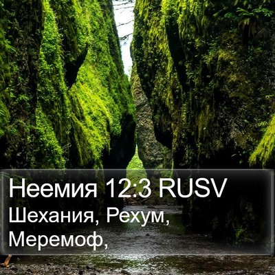 Неемия 12:3 RUSV Bible Verse Image