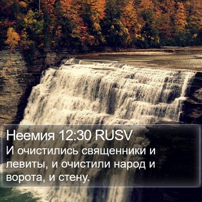 Неемия 12:30 RUSV Bible Verse Image