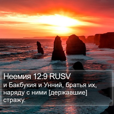 Неемия 12:9 RUSV Bible Verse Image
