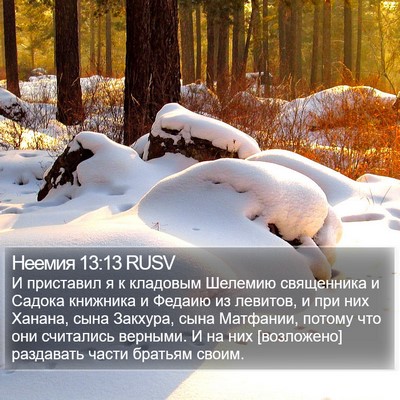 Неемия 13:13 RUSV Bible Verse Image