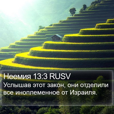 Неемия 13:3 RUSV Bible Verse Image