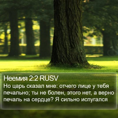 Неемия 2:2 RUSV Bible Verse Image