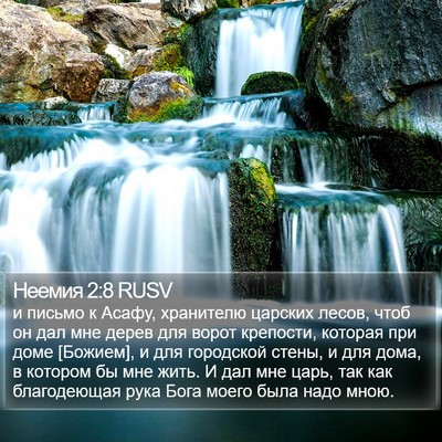 Неемия 2:8 RUSV Bible Verse Image