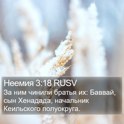 Неемия 3:18 RUSV Bible Verse Image