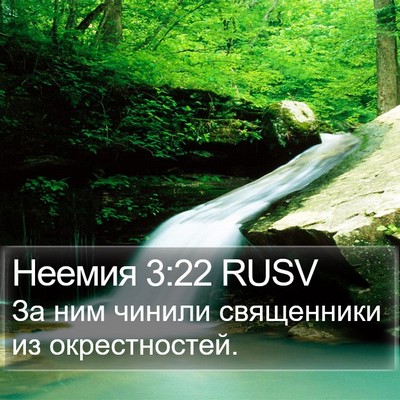 Неемия 3:22 RUSV Bible Verse Image