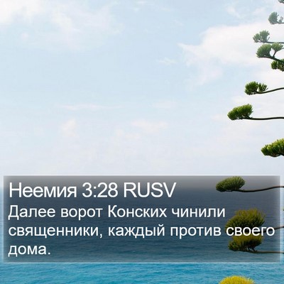 Неемия 3:28 RUSV Bible Verse Image