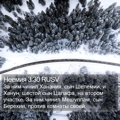 Неемия 3:30 RUSV Bible Verse Image