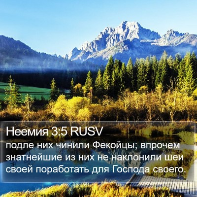 Неемия 3:5 RUSV Bible Verse Image