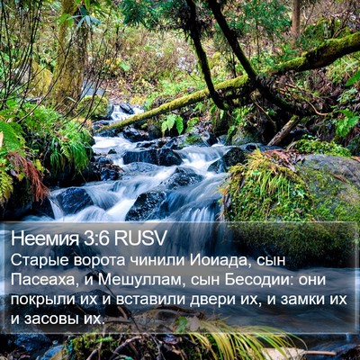 Неемия 3:6 RUSV Bible Verse Image