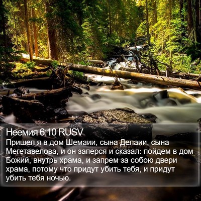 Неемия 6:10 RUSV Bible Verse Image