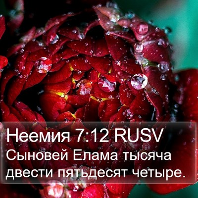 Неемия 7:12 RUSV Bible Verse Image
