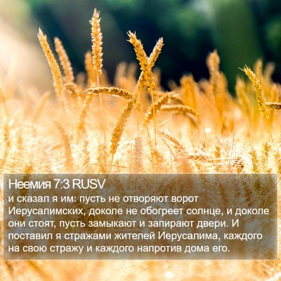 Неемия 7:3 RUSV Bible Verse Image