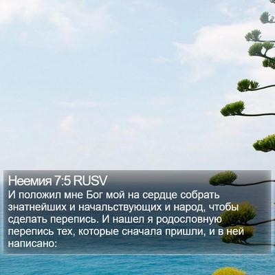 Неемия 7:5 RUSV Bible Verse Image