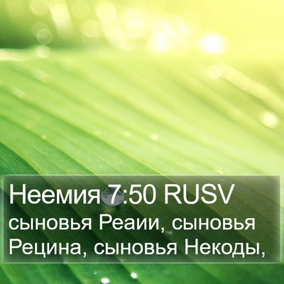 Неемия 7:50 RUSV Bible Verse Image