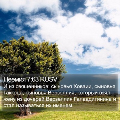 Неемия 7:63 RUSV Bible Verse Image