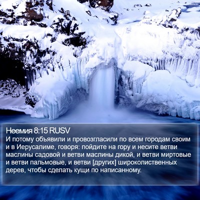 Неемия 8:15 RUSV Bible Verse Image