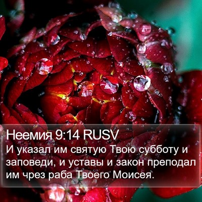 Неемия 9:14 RUSV Bible Verse Image