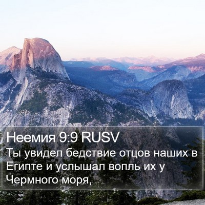 Неемия 9:9 RUSV Bible Verse Image