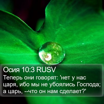 Осия 10:3 RUSV Bible Verse Image