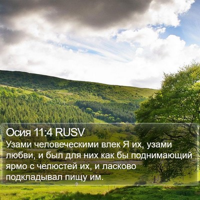 Осия 11:4 RUSV Bible Verse Image
