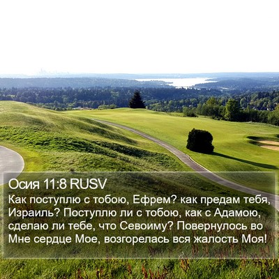 Осия 11:8 RUSV Bible Verse Image