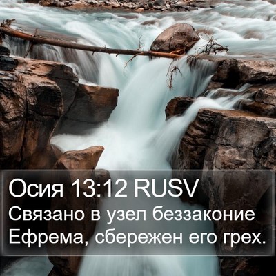 Осия 13:12 RUSV Bible Verse Image