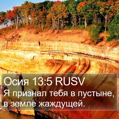 Осия 13:5 RUSV Bible Verse Image