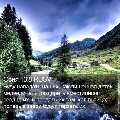 Осия 13:8 RUSV Bible Verse Image
