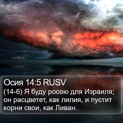 Осия 14:5 RUSV Bible Verse Image