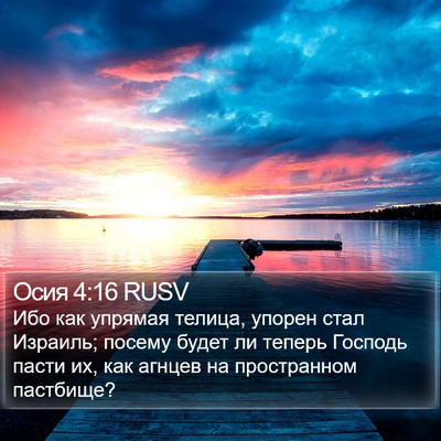 Осия 4:16 RUSV Bible Verse Image