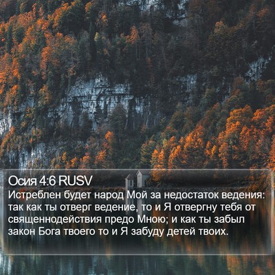 Осия 4:6 RUSV Bible Verse Image