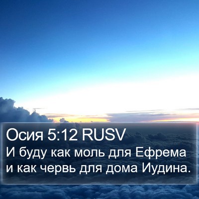 Осия 5:12 RUSV Bible Verse Image