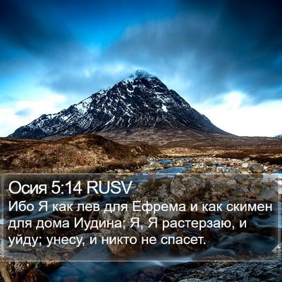 Осия 5:14 RUSV Bible Verse Image