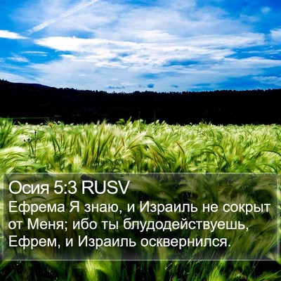 Осия 5:3 RUSV Bible Verse Image